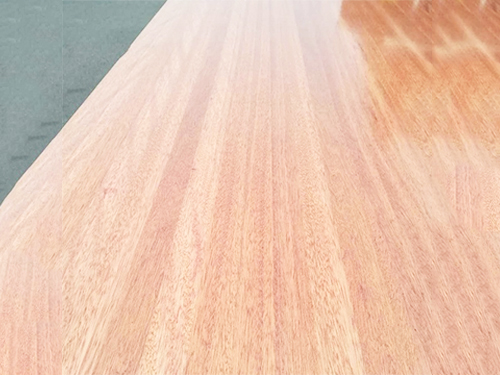 海棠木是一种甚么木？